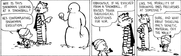 Calvin Hobbes On Snowman Evolution