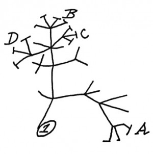 darwin_evolution_tree