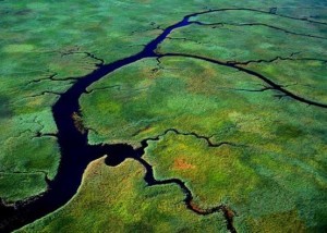 2012-MAY-Source-Liaohe-River-Delta-Marshland-300x214