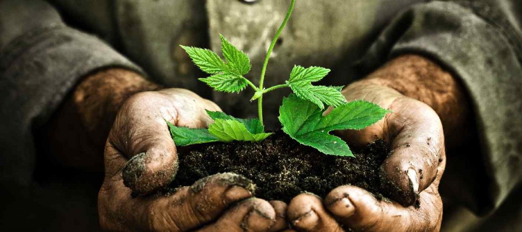 Grow.-Plant.-Discipleship